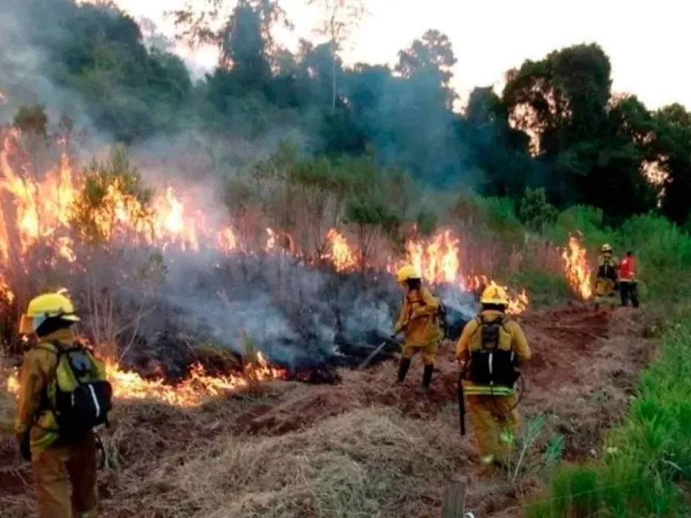 Cualquier tipo de quema está prohibida