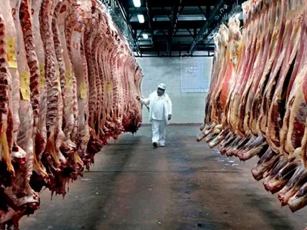 Interrumpió la convocatoria a contratados