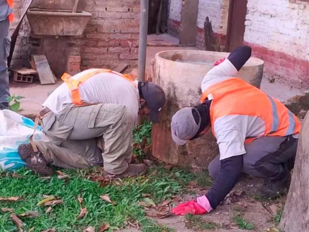 Para reducir los criaderos de Aedes aegypti