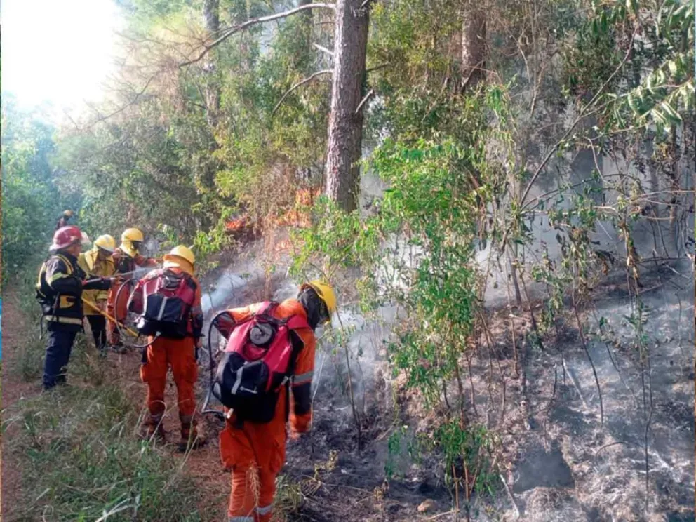 Intensos operativos en distintos puntos de la provincia