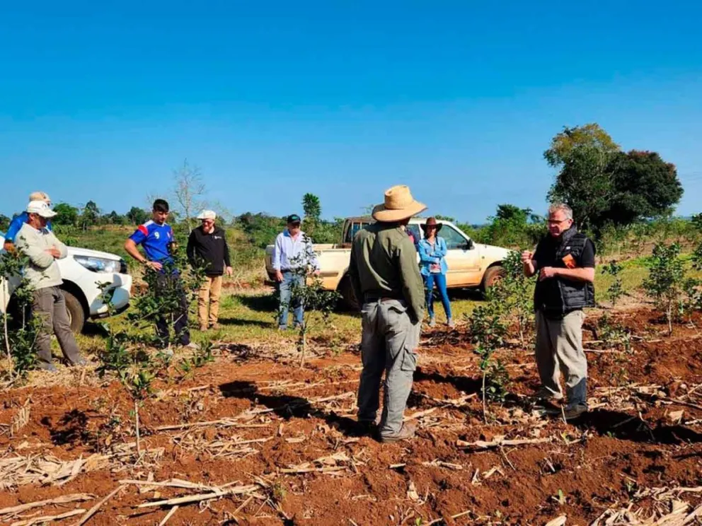 Recuperación de especies nativas
