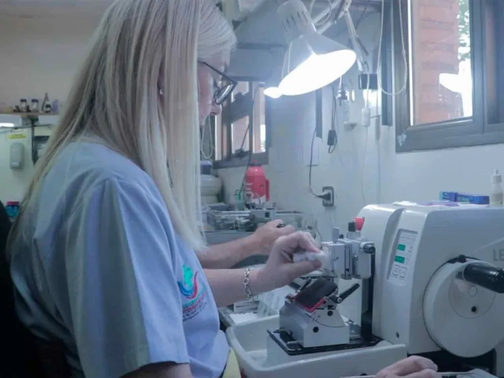 Para mujeres desde los 30 años
