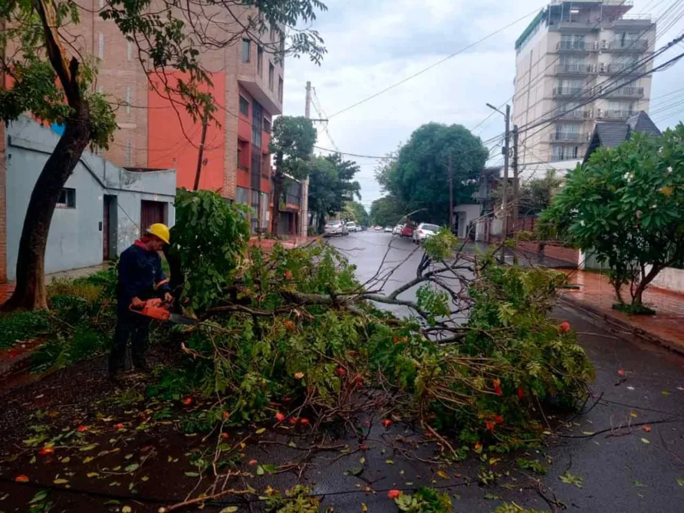 Tareas de despeje, corte y recolección  de ramas en distintos puntos de la ciudad