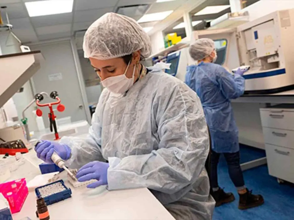 Informe del Grupo EPC