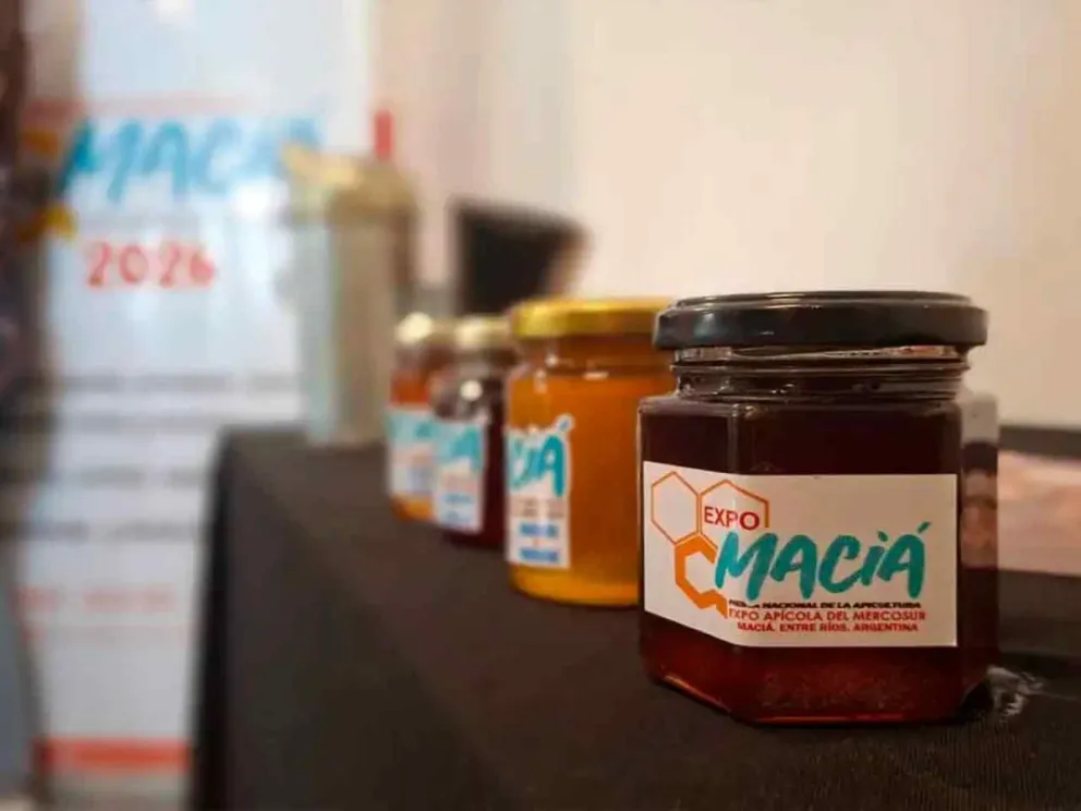 Se destacaron en tres de las cinco categorías