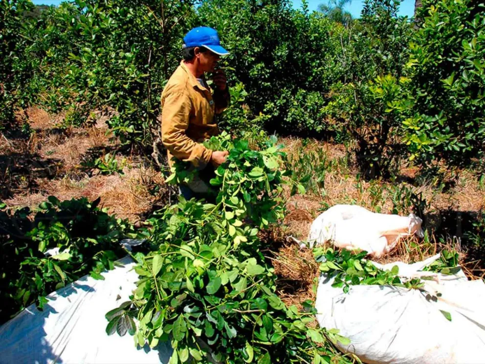 Mantuvieron conversaciones con la patronal