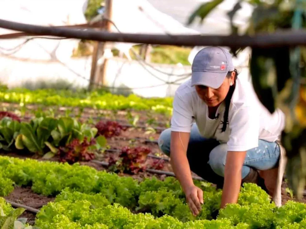 Una mirada integral sobre el rol de la mujer rural