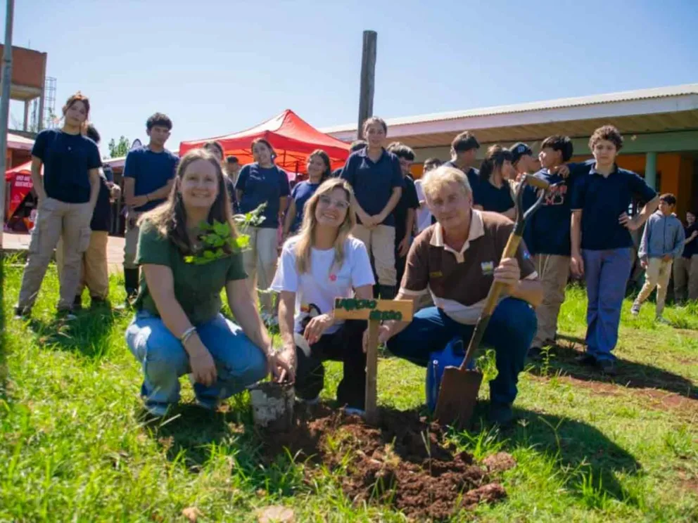 Plantaron árboles nativos 