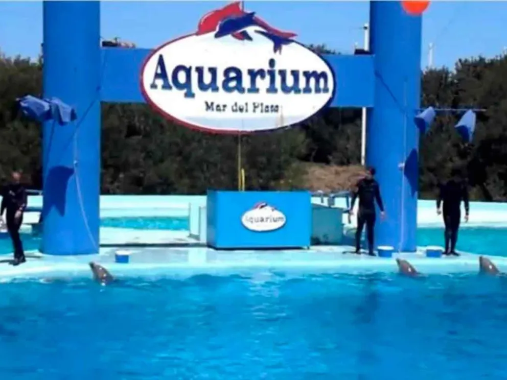 Crisis empresarial, manejo opaco y destino incierto