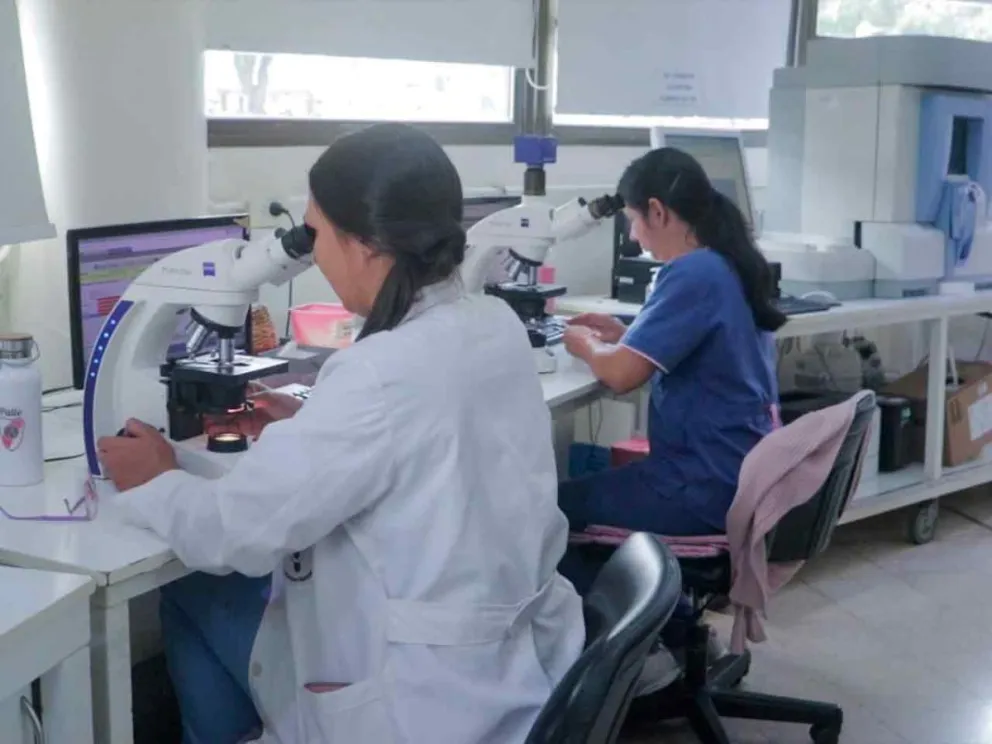 Pilar clave y cualificado en bioquímica clínica