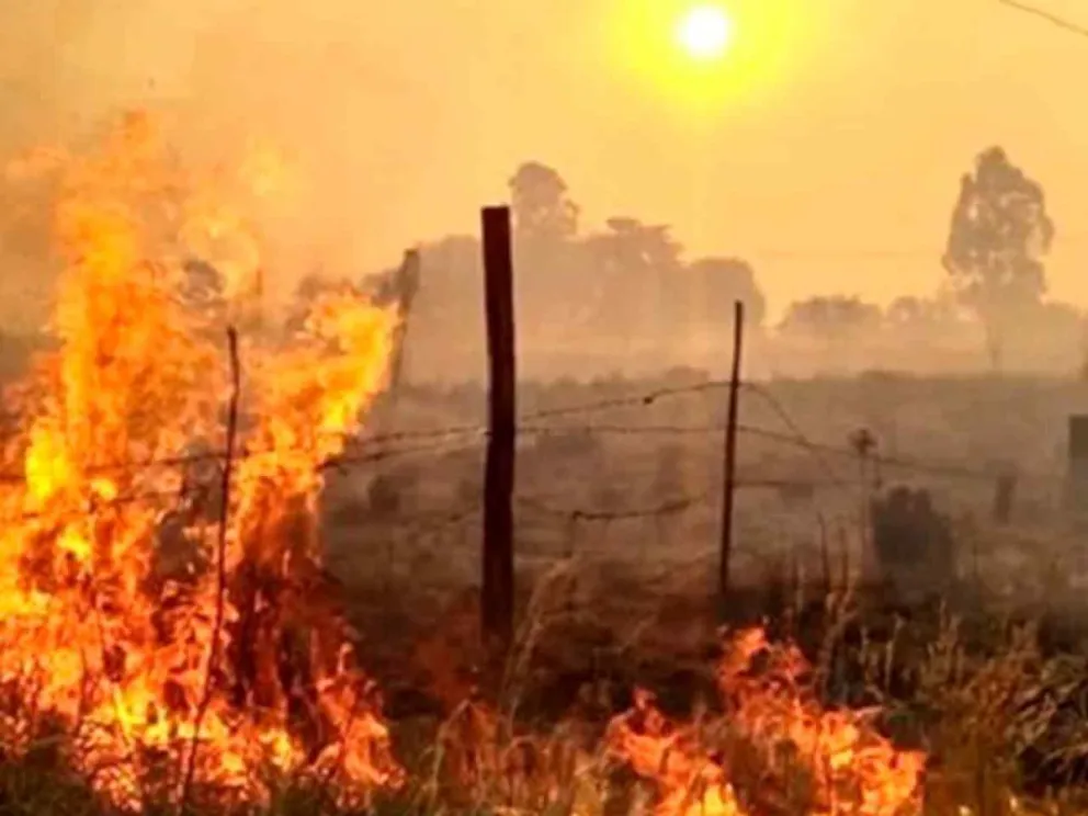 Desde Ecología ratificaron el estado de alerta