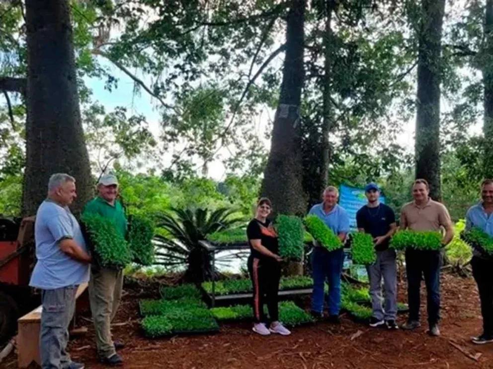 Productores beneficiados