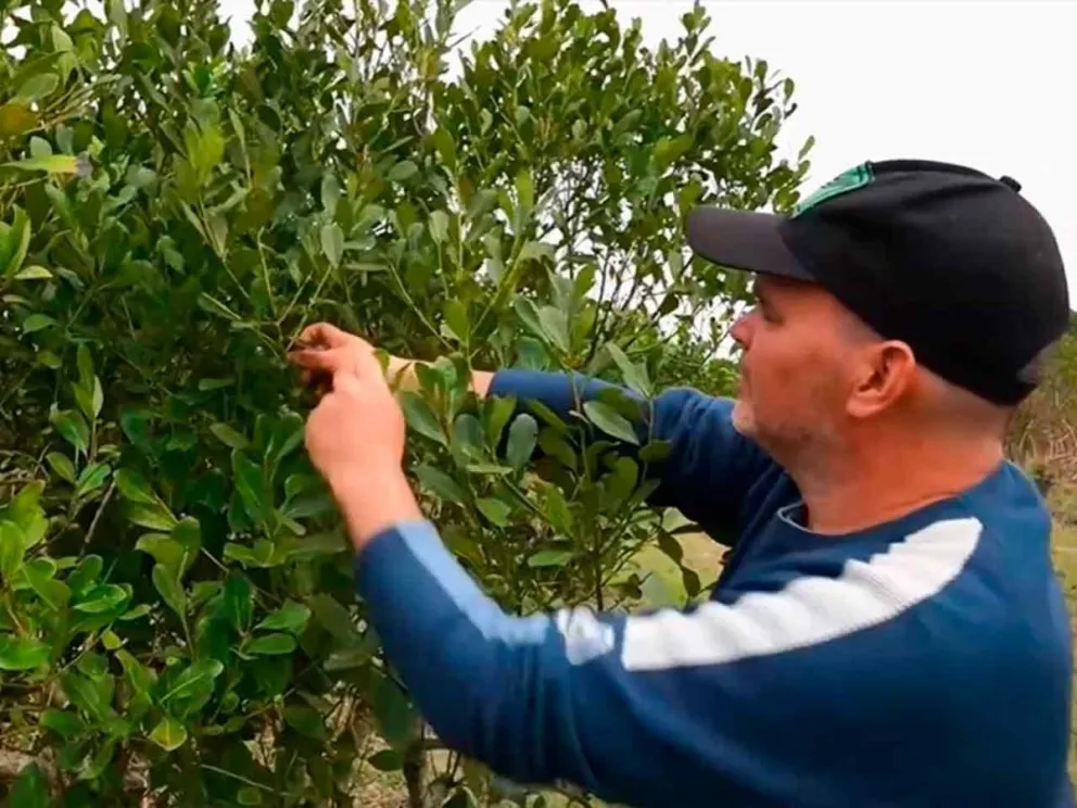 Se realizará el 5, 6 y 7 de junio, en CABA