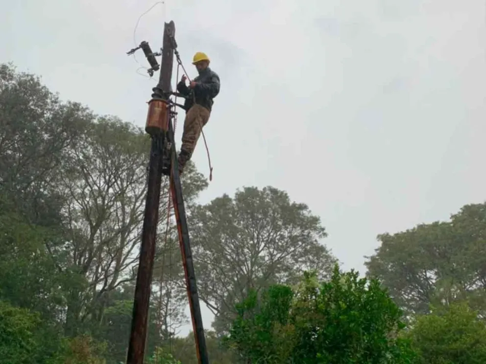 Restauraron  postes caídos en la vía pública