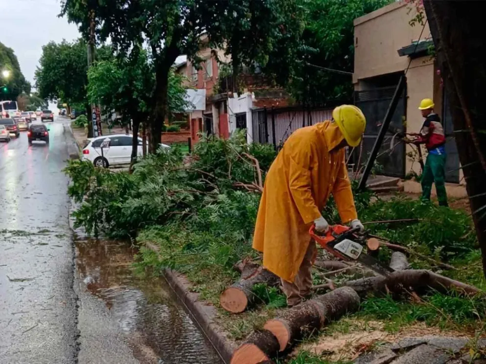 Cuadrilla de remoción de restos forestales