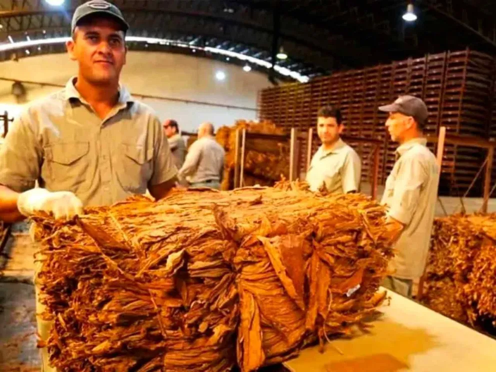 Pago de las entregas de tabaco del 2 al 28/2