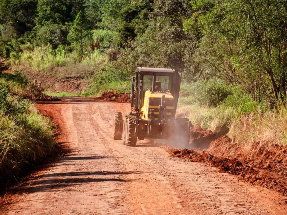 Tareas en la zona de Agro Forestal 