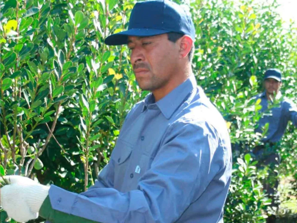 Mesa de trabajo y diálogo para facilitar consensos