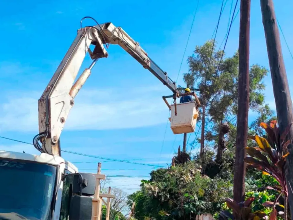 Limpieza y despeje de traza de la línea