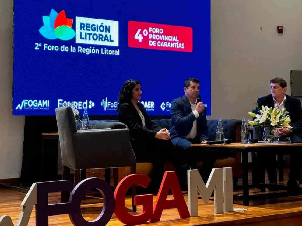 Adolfo Safrán y Germán Simes exponen sobre  FOGAMI