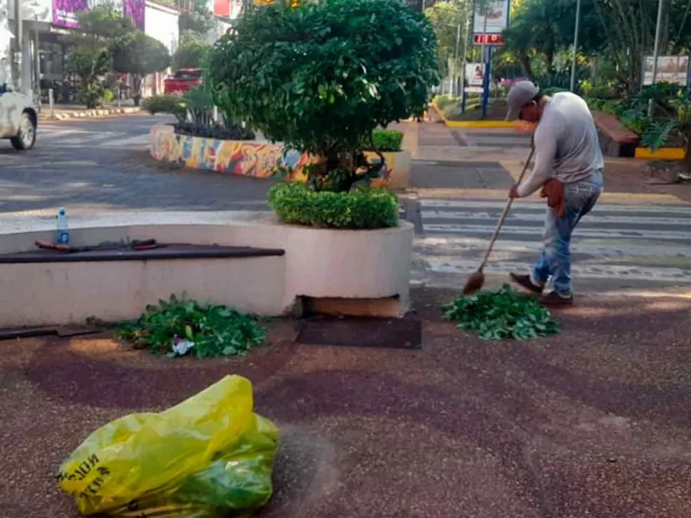 Mantenimiento y embellecimiento de los jardines