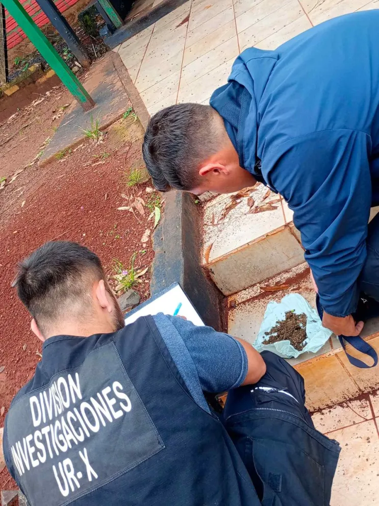 Test positivo cannabis sativa