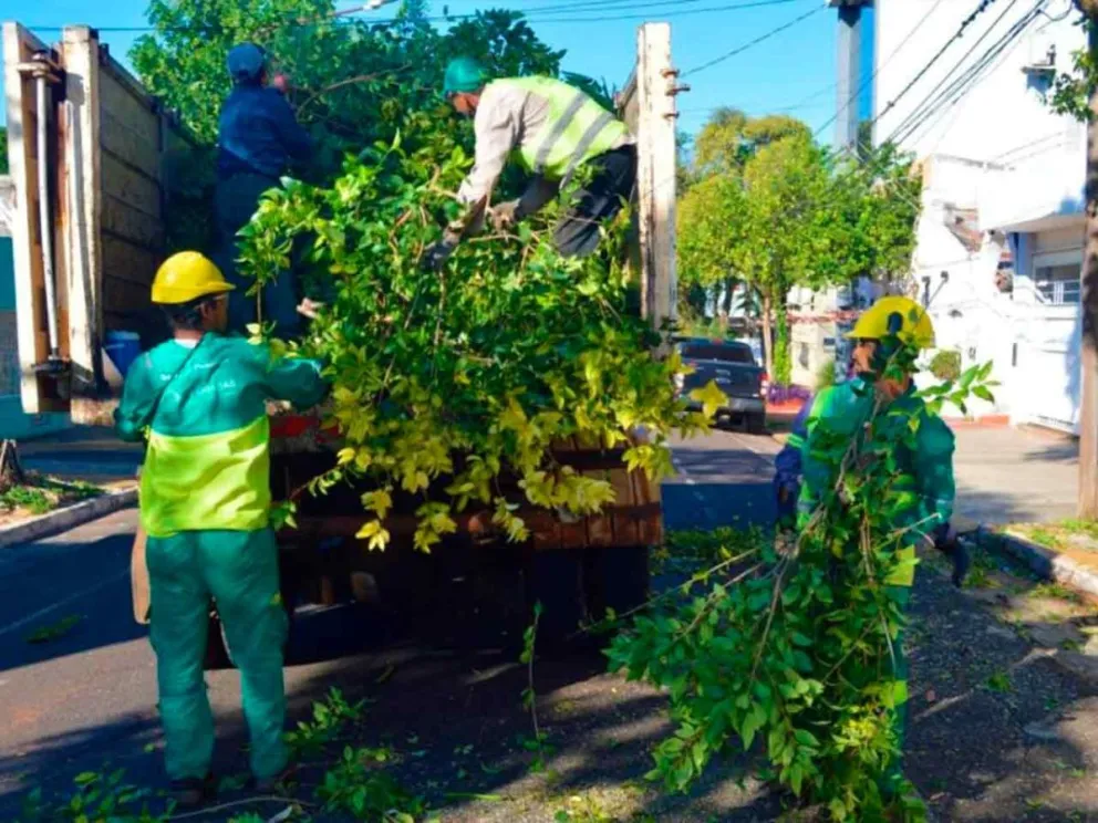 Cronograma disponible en la página oficial municipal