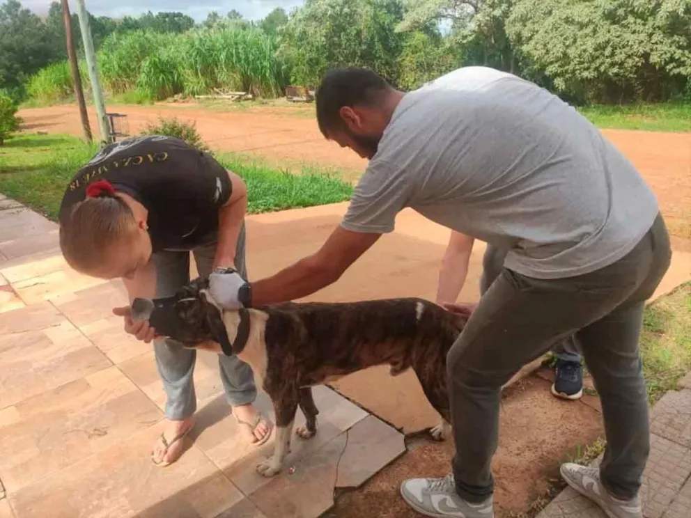 Se vacunaron en total 112 animales