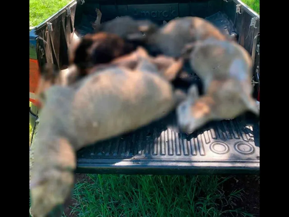 El hecho denunciado  fue constatado por la Policía 