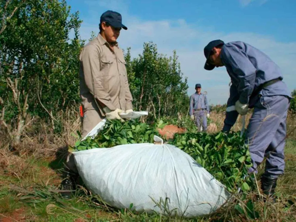 La idea es parar una semana por mes