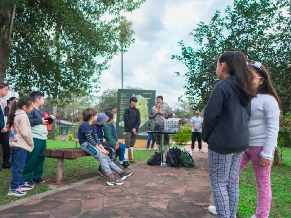 Herramienta pedagógica que trasciende el aula