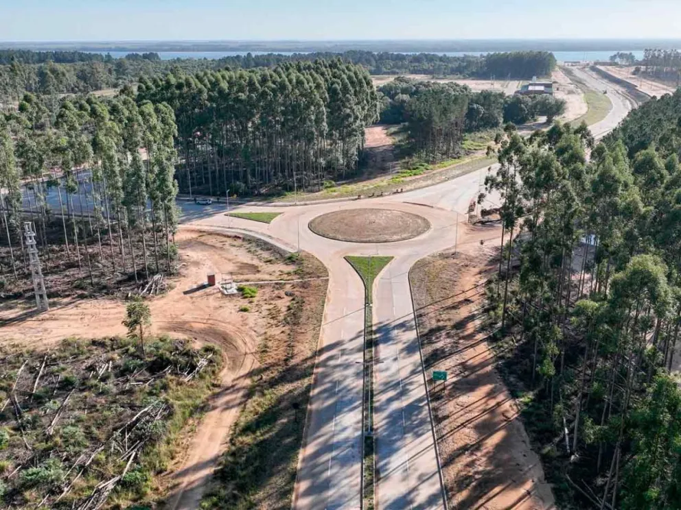Concentra 250.000 hectáreas de bosques implantados 