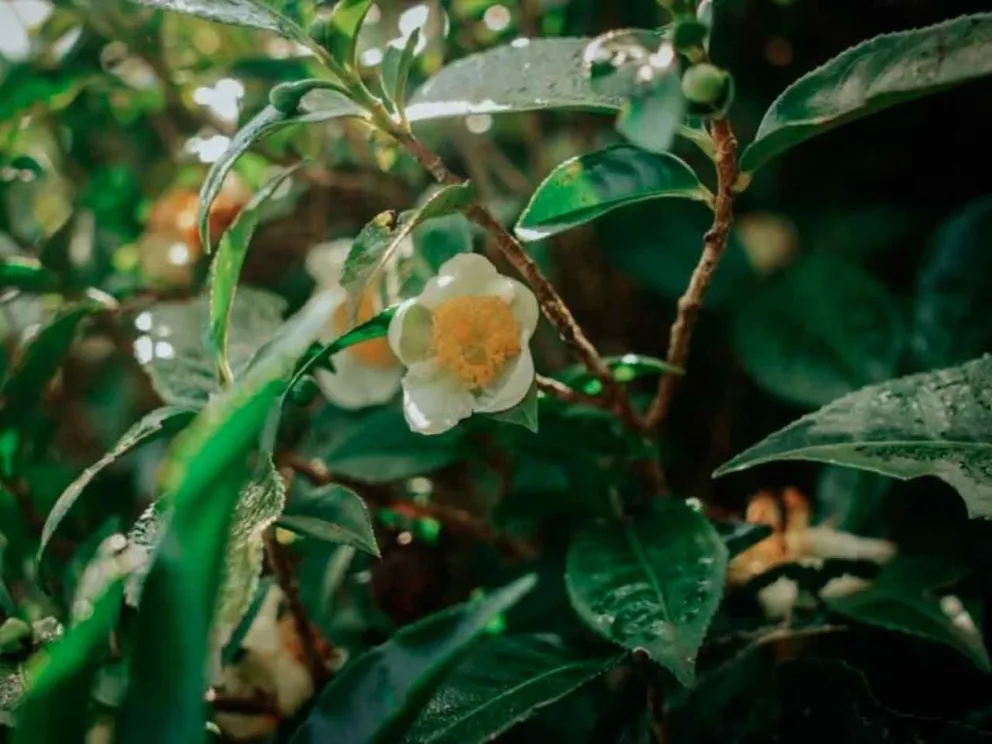 Se dictará el 24 de mayo en Silicon Misiones