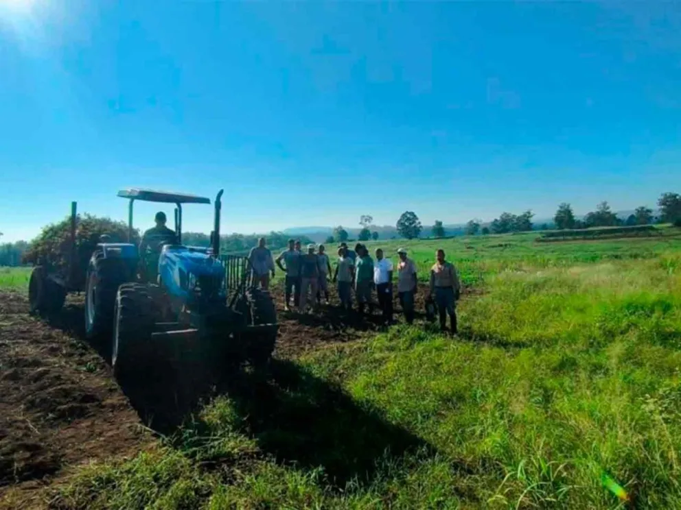 Alternativa innovadora de diversificación productiva