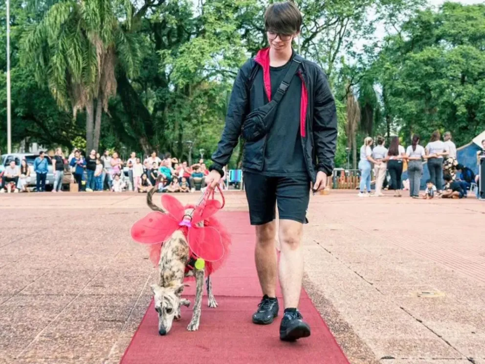 Participaron de 93 animales