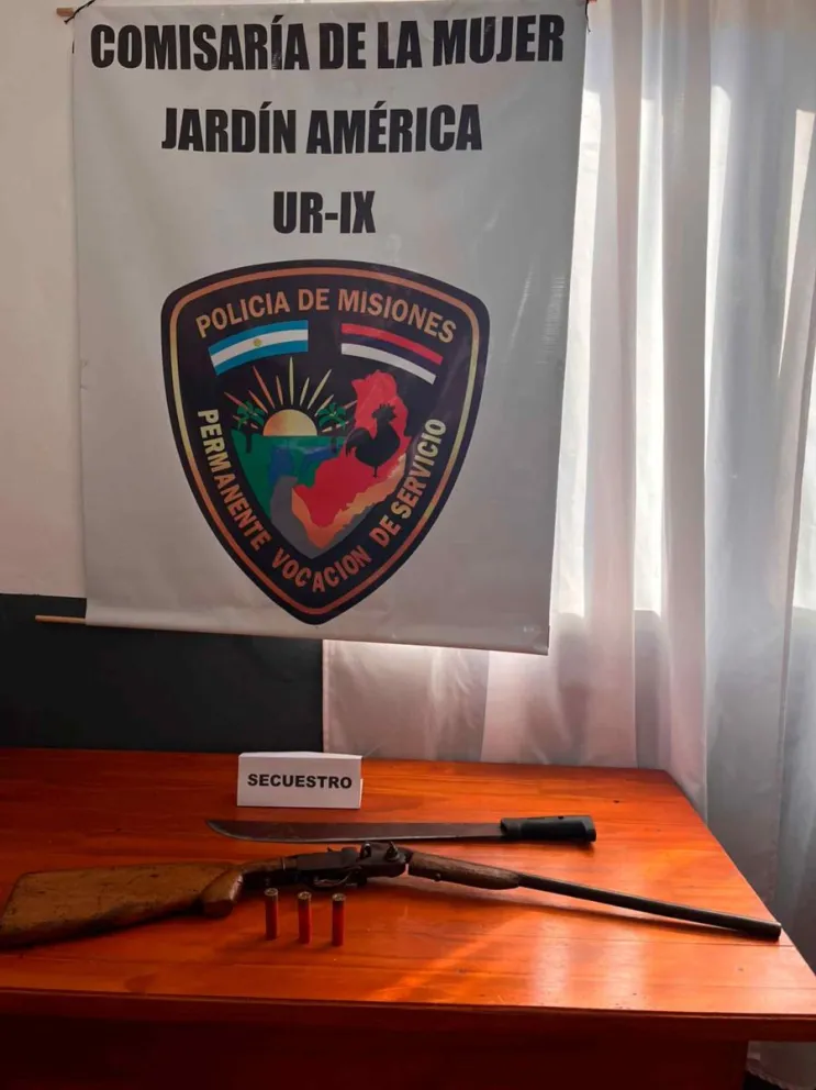 Armas incautadas en la inspección