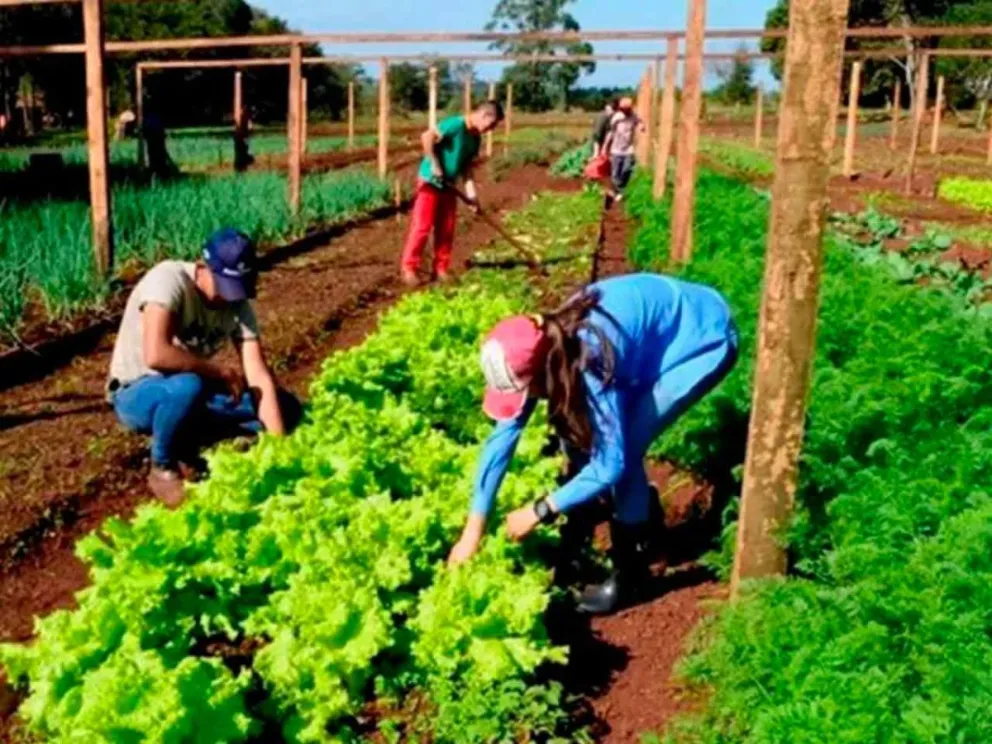 Para emprendedores y productores 