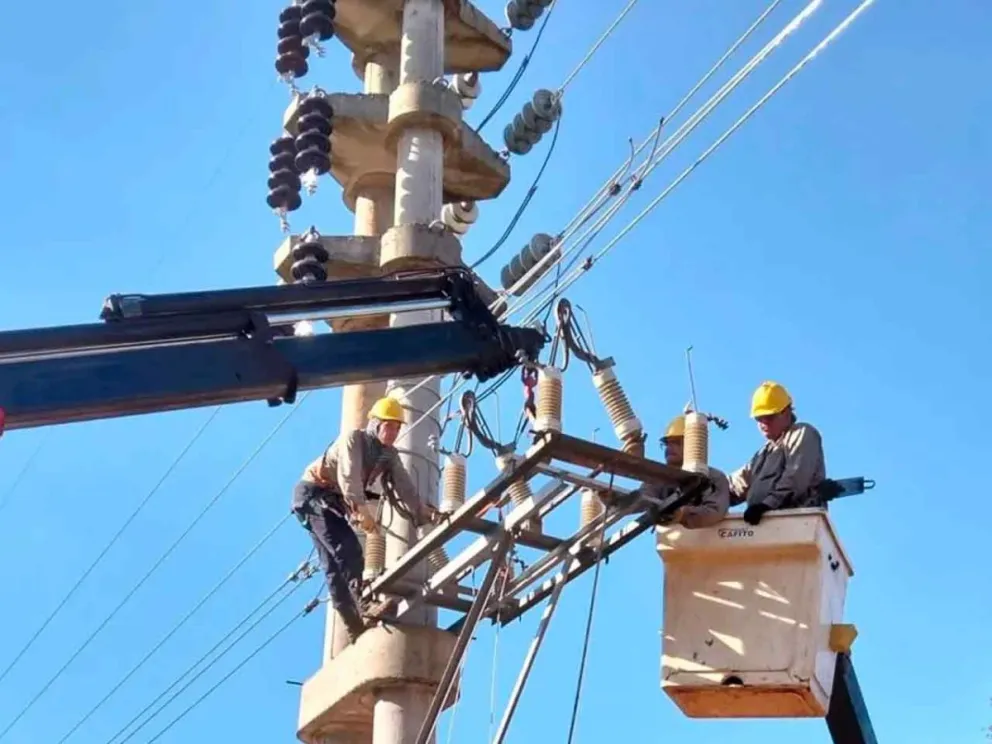 Las acciones se ejecutarán en forma programada