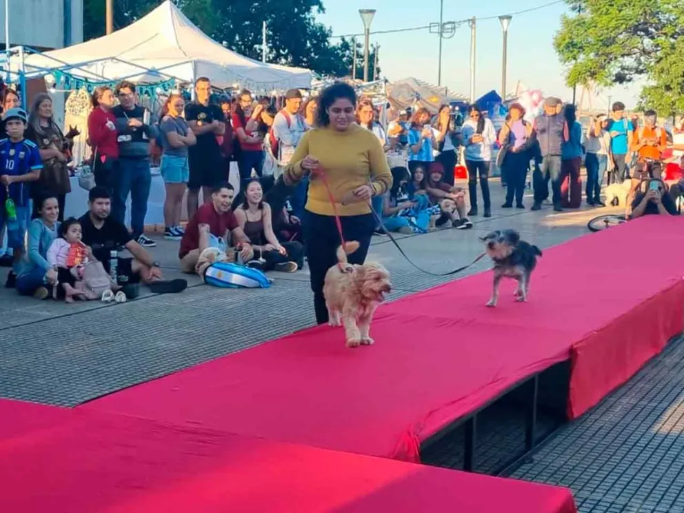 Los protagonistas cautivaron al público