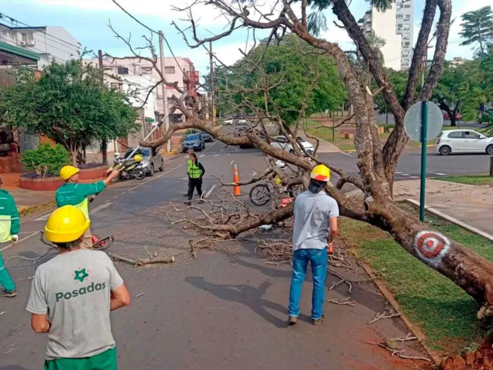 Activaron el protocolo de contingencia