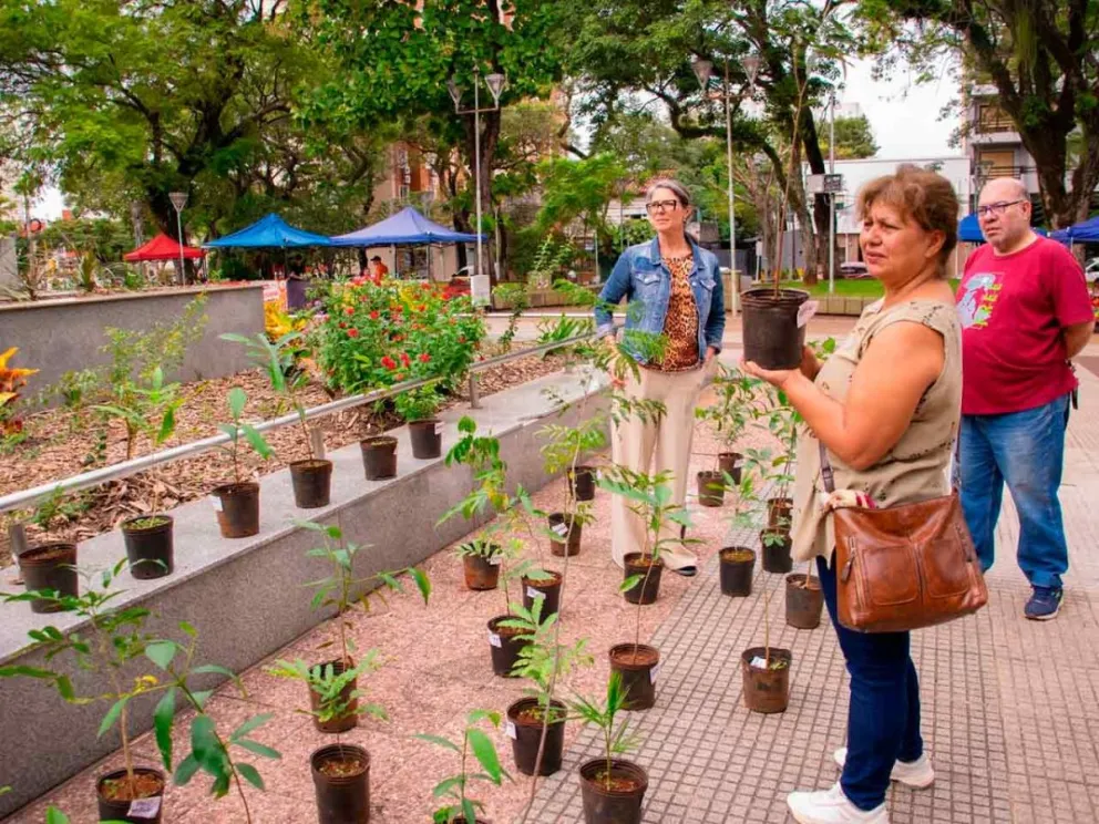 Jornada de concientización en la plaza San Martín de Posadas