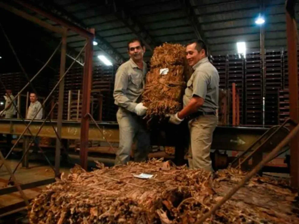Destacada respuesta productiva