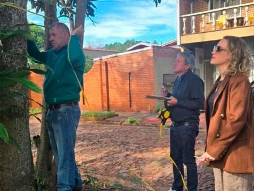 Promovido por la DPV