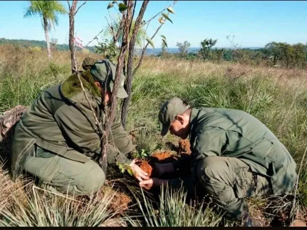 Importante avance en materia ambiental