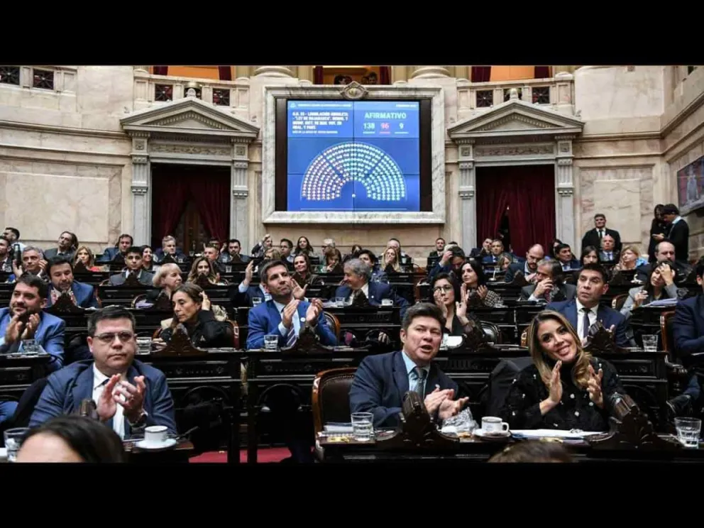  Por 138 votos afirmativos obtuvo media sanción