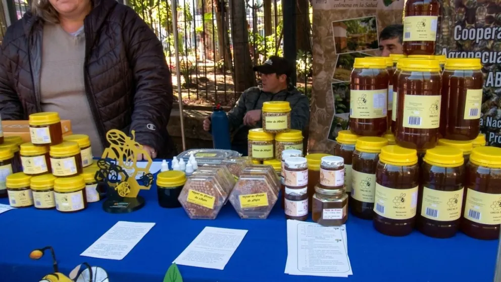 Productos de consumo natural y saludable