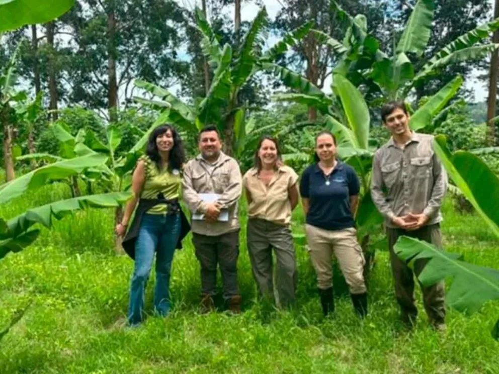 Profesionales hacen validación en campo 
