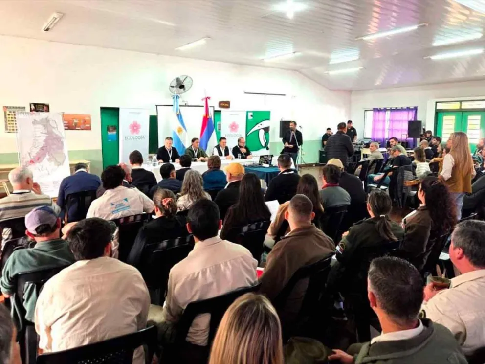 Momento de la presentación