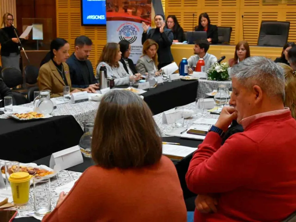 Funcionarios y representantes de ONG participantes