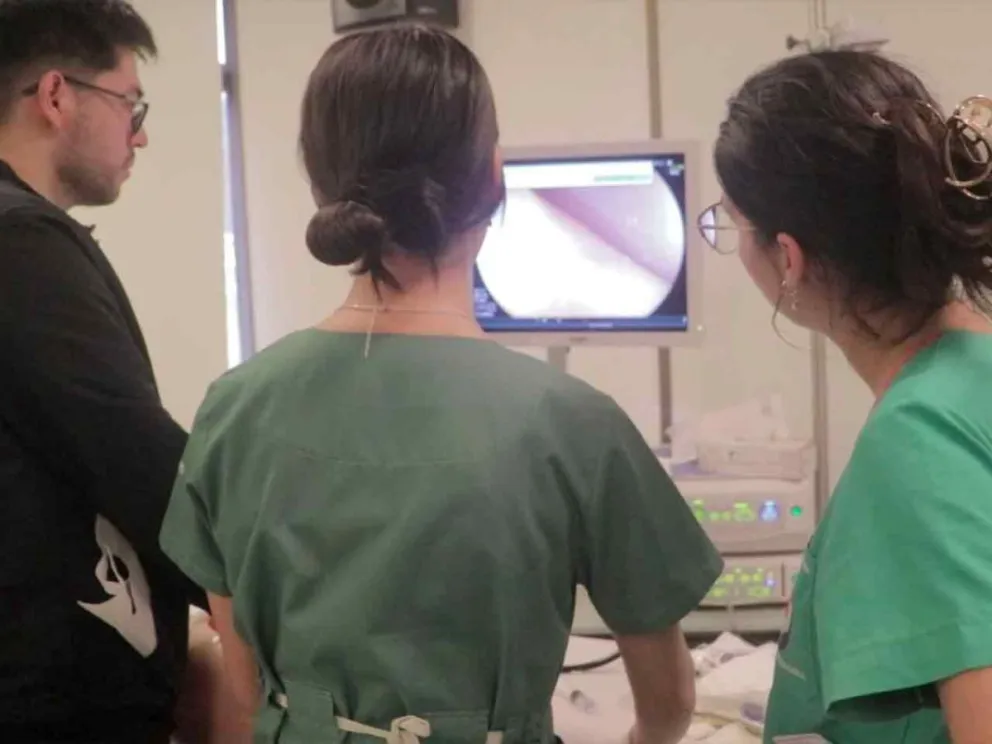 Dispondrá de una sala de endoscopía intervencionista